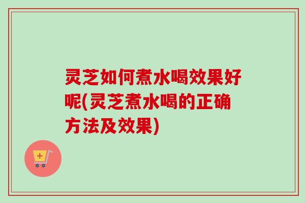 灵芝如何煮水喝效果好呢(灵芝煮水喝的正确方法及效果)