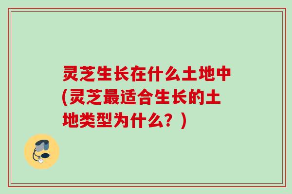 灵芝生长在什么土地中(灵芝最适合生长的土地类型为什么？)