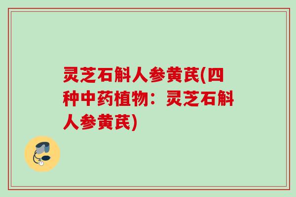 灵芝石斛人参黄芪(四种中药植物：灵芝石斛人参黄芪)