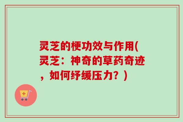 灵芝的梗功效与作用(灵芝：神奇的草药奇迹，如何纾缓压力？)