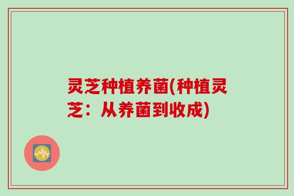 灵芝种植养菌(种植灵芝:从养菌到收成) 灵芝种植养菌(种植灵芝:从养菌到收成)
