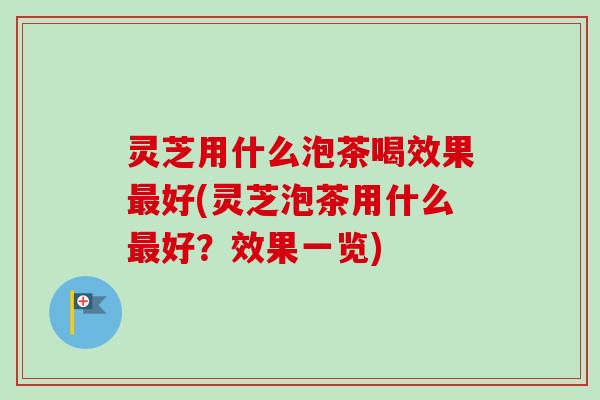 灵芝用什么泡茶喝效果最好(灵芝泡茶用什么最好？效果一览)