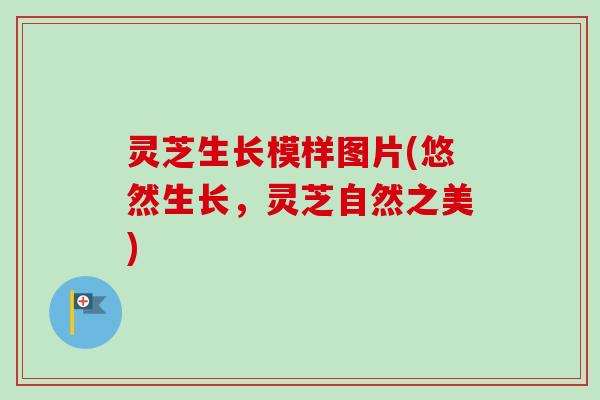 灵芝生长模样图片(悠然生长，灵芝自然之美)