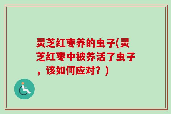 灵芝红枣养的虫子(灵芝红枣中被养活了虫子，该如何应对？)