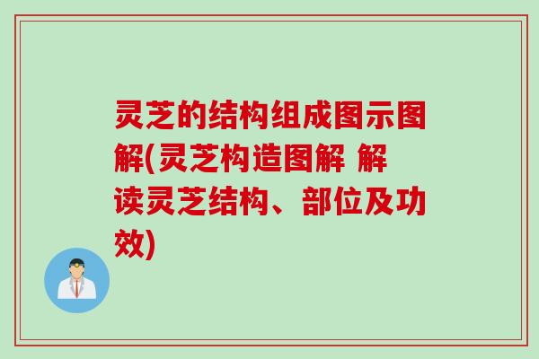 灵芝的结构组成图示图解(灵芝构造图解 解读灵芝结构、部位及功效) 灵芝的结构组成图示图解(灵芝构造图解 解读灵芝结构、部位及功效)