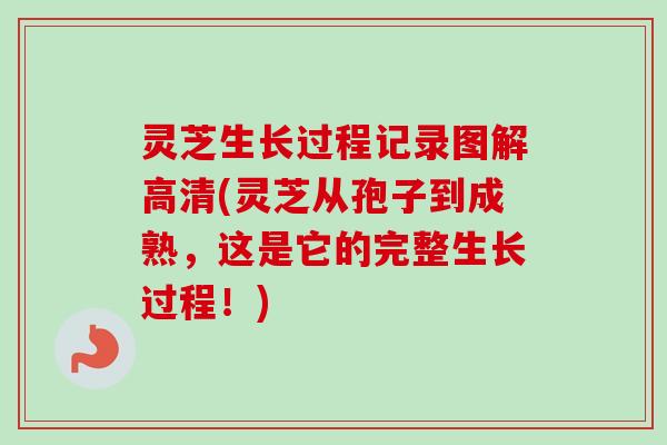 灵芝生长过程记录图解高清(灵芝从孢子到成熟，这是它的完整生长过程！)