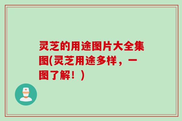 灵芝的用途图片大全集图(灵芝用途多样，一图了解！)