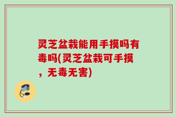灵芝盆栽能用手摸吗有毒吗(灵芝盆栽可手摸，无毒无害)