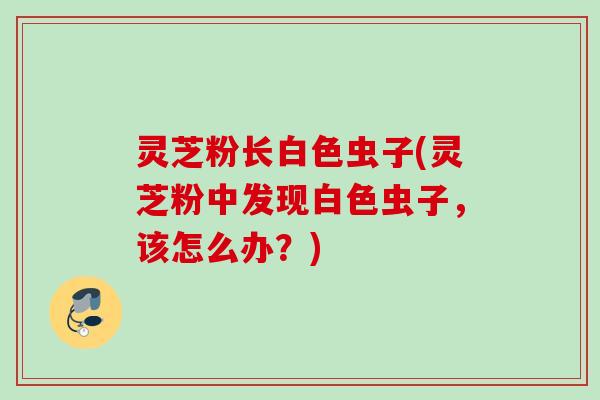 灵芝粉长白色虫子(灵芝粉中发现白色虫子，该怎么办？)