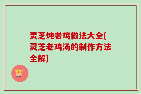 灵芝炖老鸡做法大全(灵芝老鸡汤的制作方法全解)