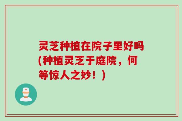 灵芝种植在院子里好吗(种植灵芝于庭院，何等惊人之妙！)