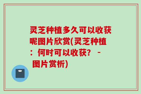 灵芝种植多久可以收获呢图片欣赏(灵芝种植：何时可以收获？ - 图片赏析)