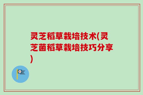 灵芝稻草栽培技术(灵芝菌稻草栽培技巧分享)