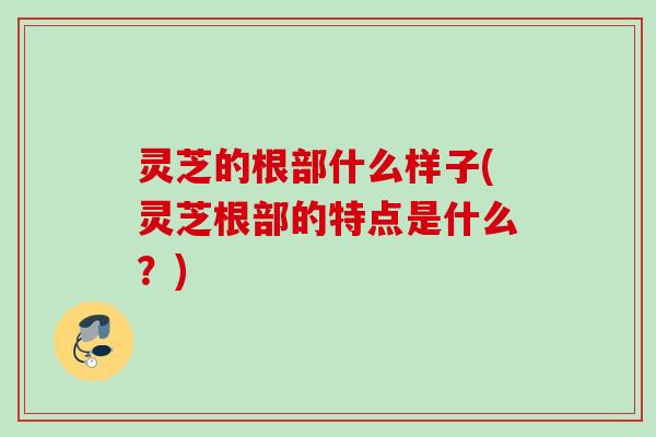 灵芝的根部什么样子(灵芝根部的特点是什么？)