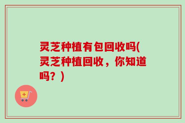 灵芝种植有包回收吗(灵芝种植回收，你知道吗？)