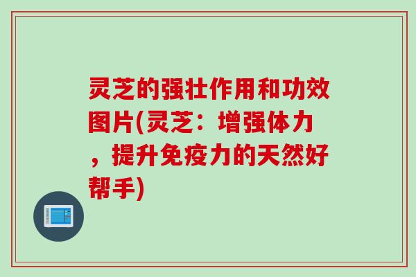灵芝的强壮作用和功效图片(灵芝：增强体力，提升免疫力的天然好帮手)