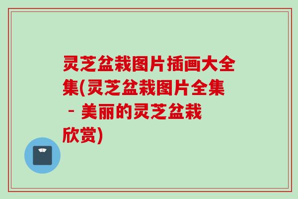 灵芝盆栽图片插画大全集(灵芝盆栽图片全集 - 美丽的灵芝盆栽欣赏)
