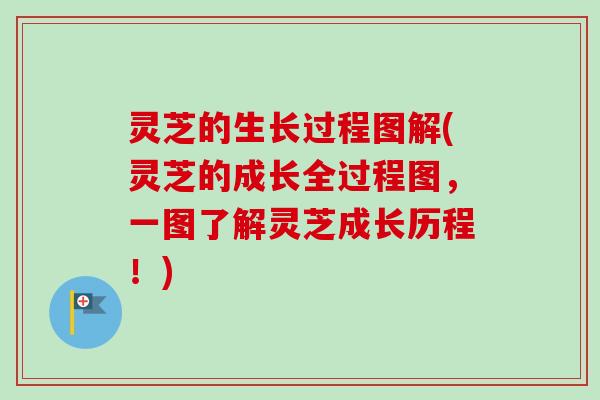 灵芝的生长过程图解(灵芝的成长全过程图，一图了解灵芝成长历程！)