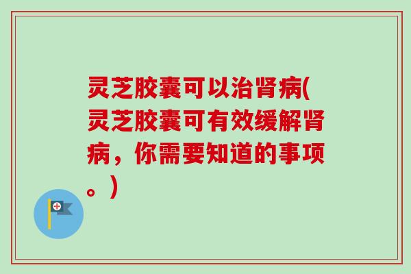 灵芝胶囊可以治肾病(灵芝胶囊可有效缓解肾病，你需要知道的事项。)