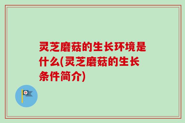 灵芝磨菇的生长环境是什么(灵芝磨菇的生长条件简介)