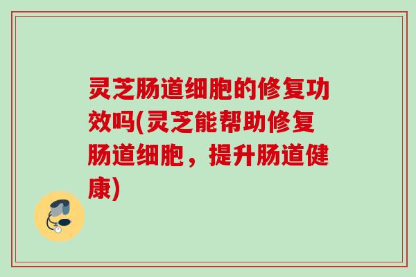 灵芝肠道细胞的修复功效吗(灵芝能帮助修复肠道细胞,提升肠道健康) 灵芝肠道细胞的修复功效吗(灵芝能帮助修复肠道细胞,提升肠道健康)