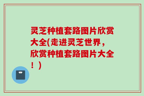 灵芝种植套路图片欣赏大全(走进灵芝世界，欣赏种植套路图片大全！)
