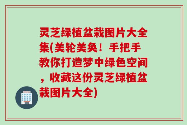 灵芝绿植盆栽图片大全集(美轮美奂！手把手教你打造梦中绿色空间，收藏这份灵芝绿植盆栽图片大全)