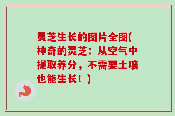灵芝生长的图片全图(神奇的灵芝：从空气中提取养分，不需要土壤也能生长！)