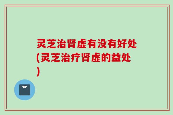 灵芝治肾虚有没有好处(灵芝治疗肾虚的益处)