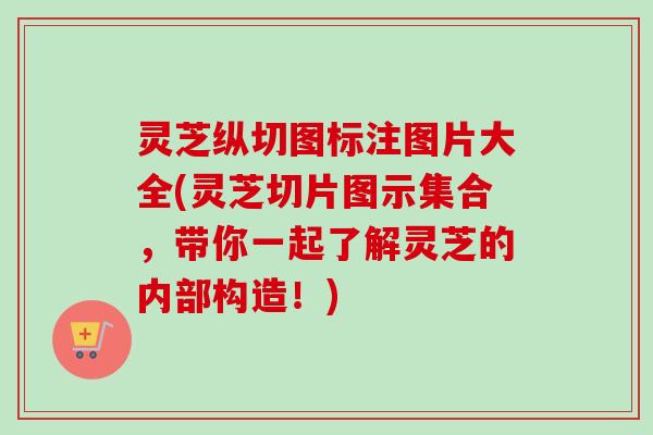 灵芝纵切图标注图片大全(灵芝切片图示集合，带你一起了解灵芝的内部构造！)