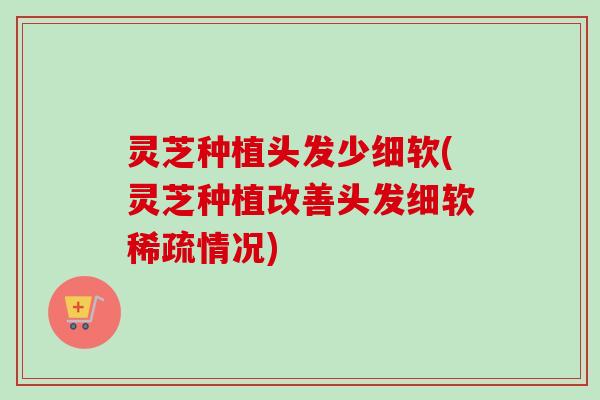 灵芝种植头发少细软(灵芝种植改善头发细软稀疏情况)