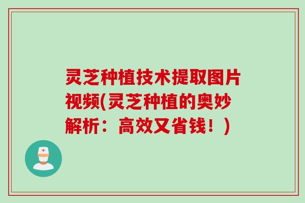 灵芝种植技术提取图片视频(灵芝种植的奥妙解析：高效又省钱！)