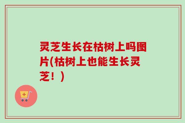 灵芝生长在枯树上吗图片(枯树上也能生长灵芝！)