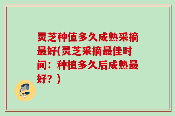 灵芝种值多久成熟采摘好(灵芝采摘佳时间:种植多久后成熟好?) 灵芝种值多久成熟采摘好(灵芝采摘佳时间:种植多久后成熟好?)