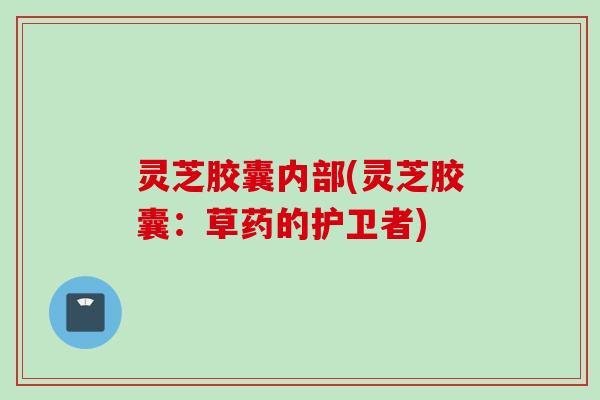 灵芝胶囊内部(灵芝胶囊：草药的护卫者)