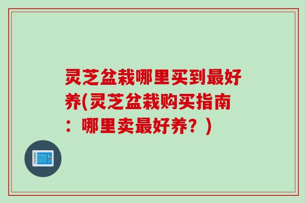 灵芝盆栽哪里买到最好养(灵芝盆栽购买指南：哪里卖最好养？)
