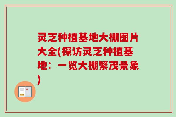 灵芝种植基地大棚图片大全(探访灵芝种植基地：一览大棚繁茂景象)