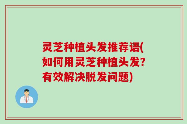 灵芝种植头发推荐语(如何用灵芝种植头发？有效解决脱发问题)