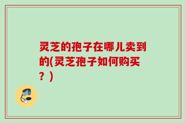 灵芝的孢子在哪儿卖到的(灵芝孢子如何购买？)