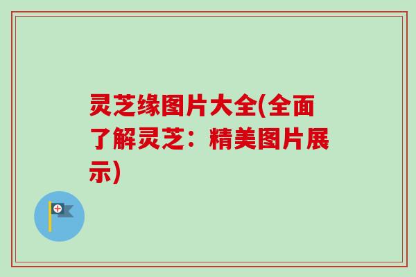 灵芝缘图片大全(全面了解灵芝:精美图片展示) 灵芝缘图片大全(全面了解灵芝:精美图片展示)