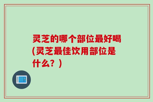 灵芝的哪个部位最好喝(灵芝最佳饮用部位是什么？)