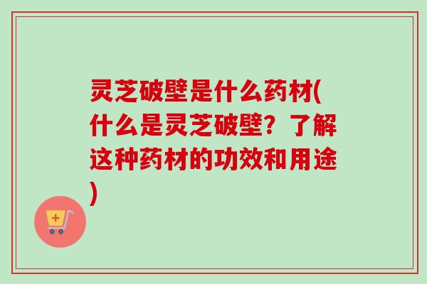 灵芝破壁是什么药材(什么是灵芝破壁？了解这种药材的功效和用途)
