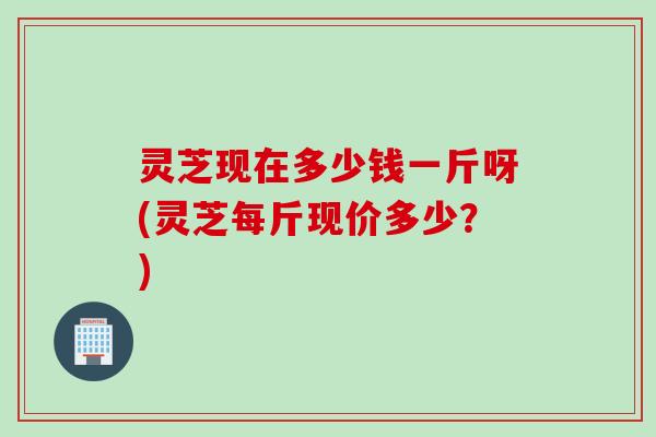 灵芝现在多少钱一斤呀(灵芝每斤现价多少？)