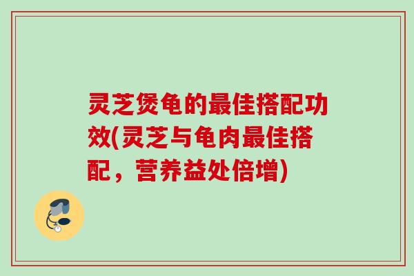灵芝煲龟的最佳搭配功效(灵芝与龟肉最佳搭配，营养益处倍增)