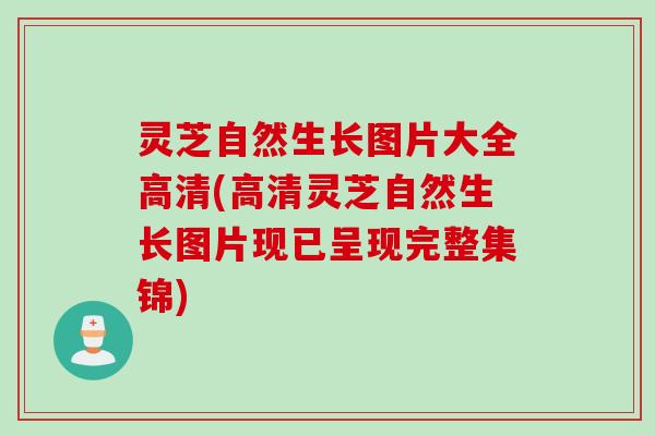 灵芝自然生长图片大全高清(高清灵芝自然生长图片现已呈现完整集锦)