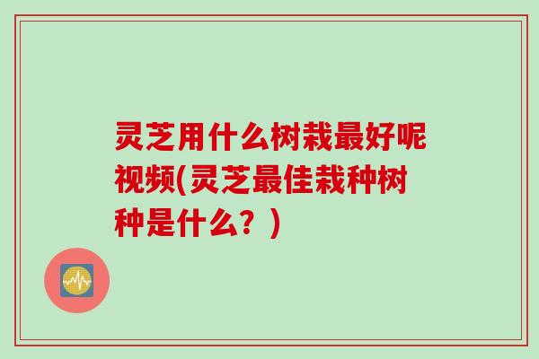灵芝用什么树栽最好呢视频(灵芝最佳栽种树种是什么？)