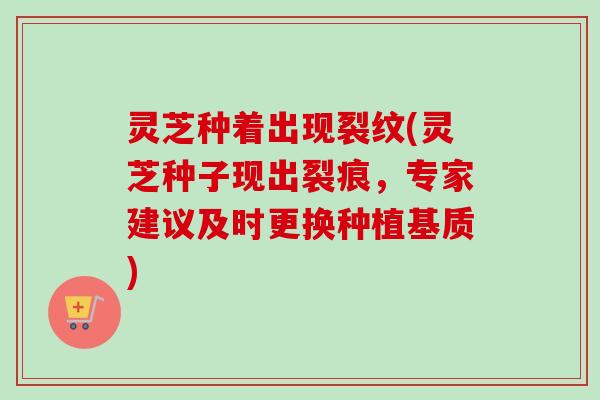 灵芝种着出现裂纹(灵芝种子现出裂痕，专家建议及时更换种植基质)