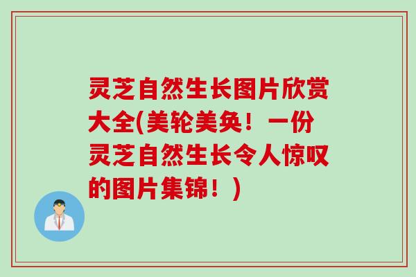 灵芝自然生长图片欣赏大全(美轮美奂！一份灵芝自然生长令人惊叹的图片集锦！)