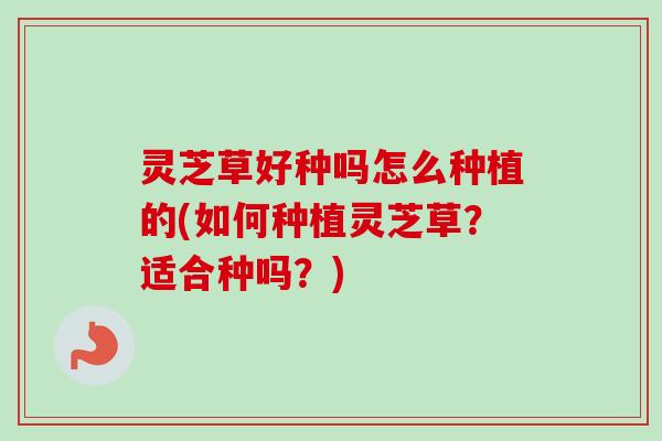 灵芝草好种吗怎么种植的(如何种植灵芝草？适合种吗？)