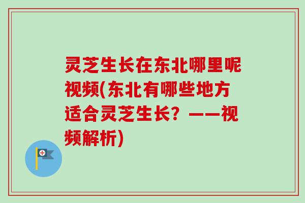 灵芝生长在东北哪里呢视频(东北有哪些地方适合灵芝生长？——视频解析)